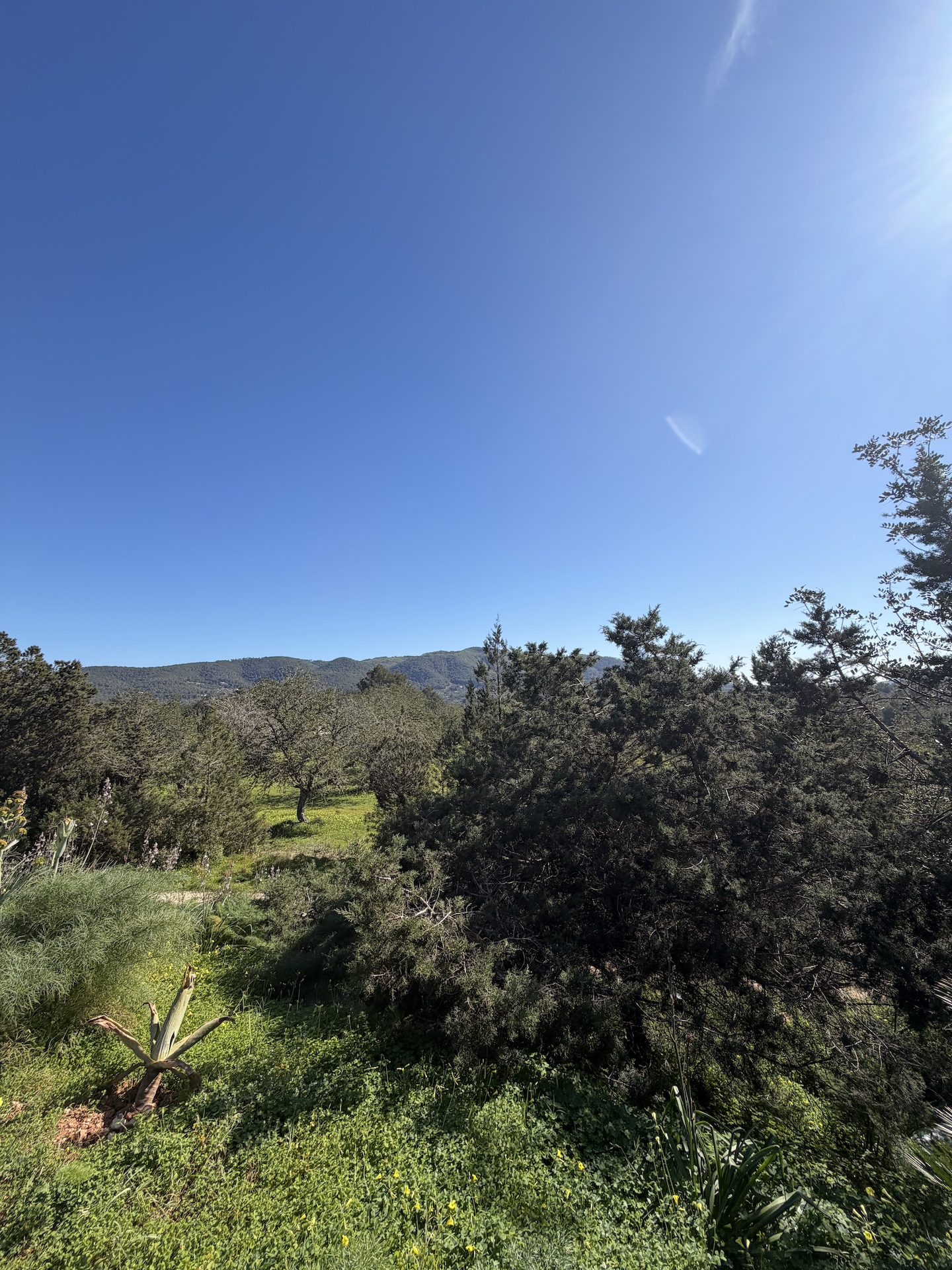 Resa Estates Finca san Miguel for sale offline 2.jpeg